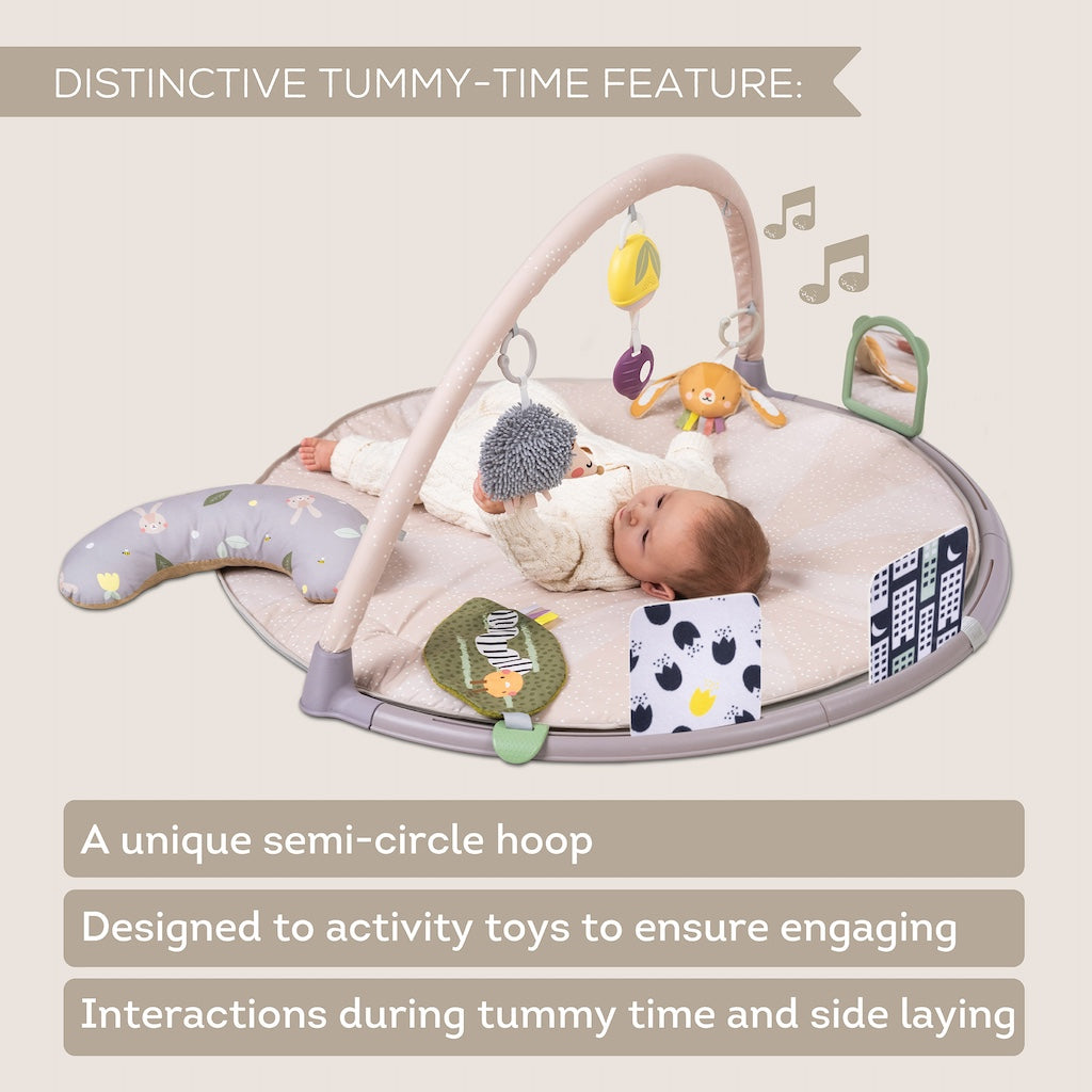 Taf Toys Tummy-Time Activity Gym