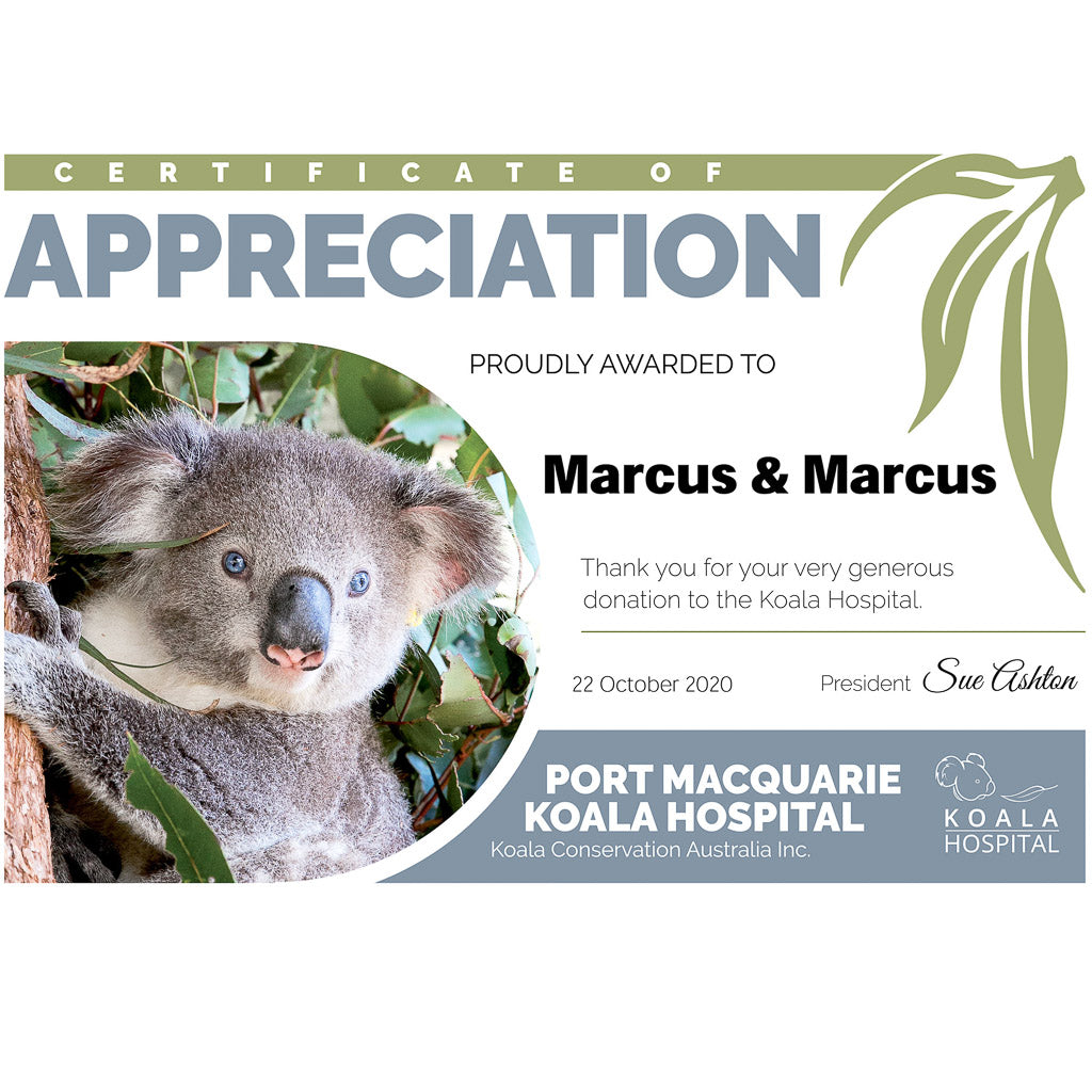 Marcus &amp; Marcus Baby Bib - Koala