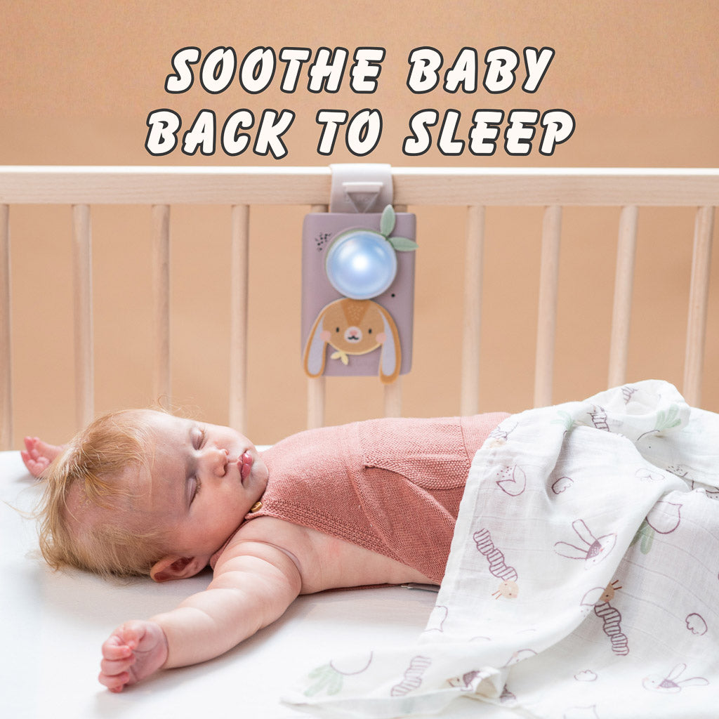 Taf Toys Bunny Soother & Swaddle Set