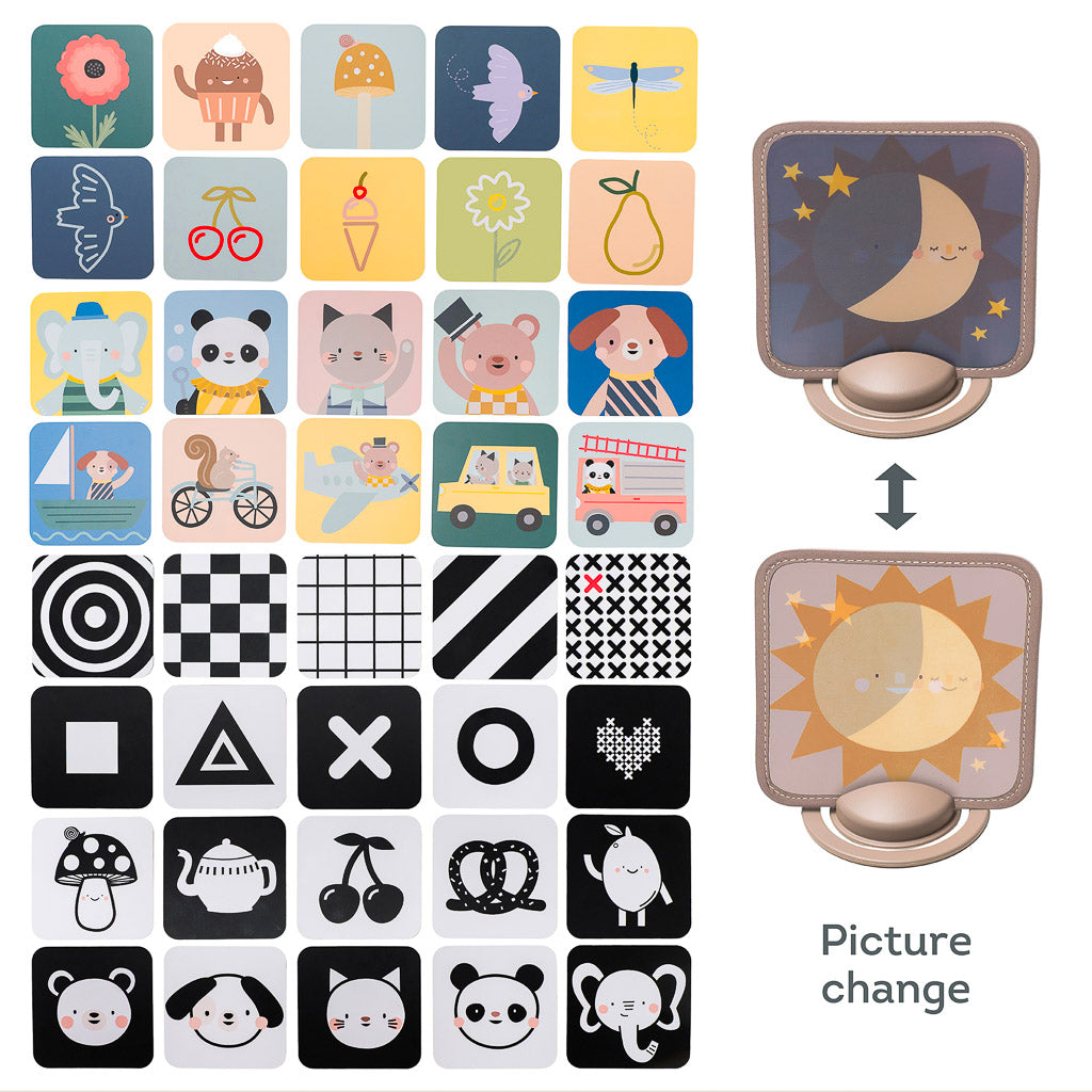 Taf Toys My 1st Discoveries Flash Cards displayed in upright card stands featuring animal patterns and a lenticular hologram motion card.