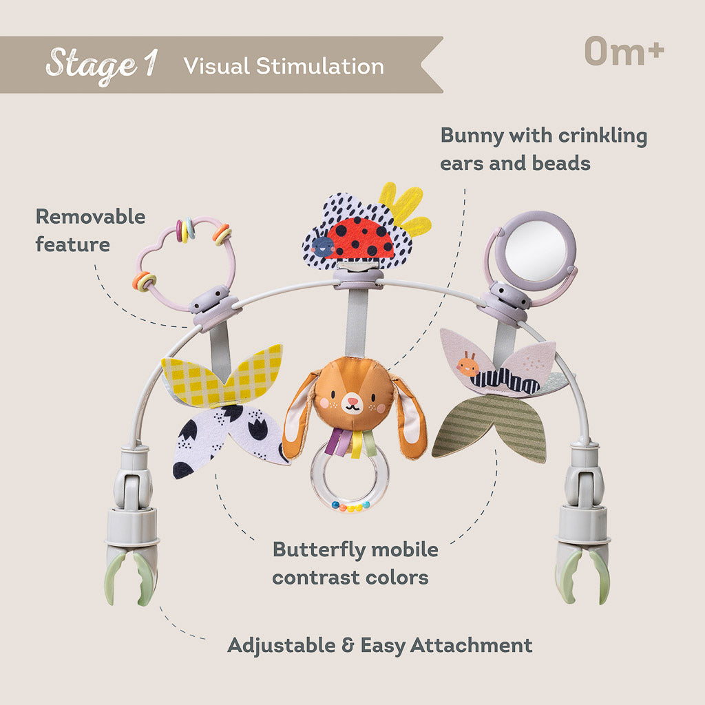 Taf Toys Grow with Me Activity Arch