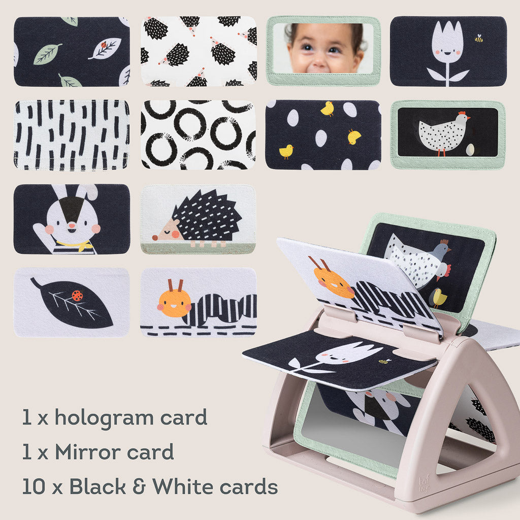 Taf Toys Black & White Tummy Time Rattling Spinning Book