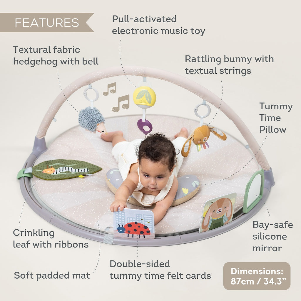 Taf Toys Tummy-Time Activity Gym