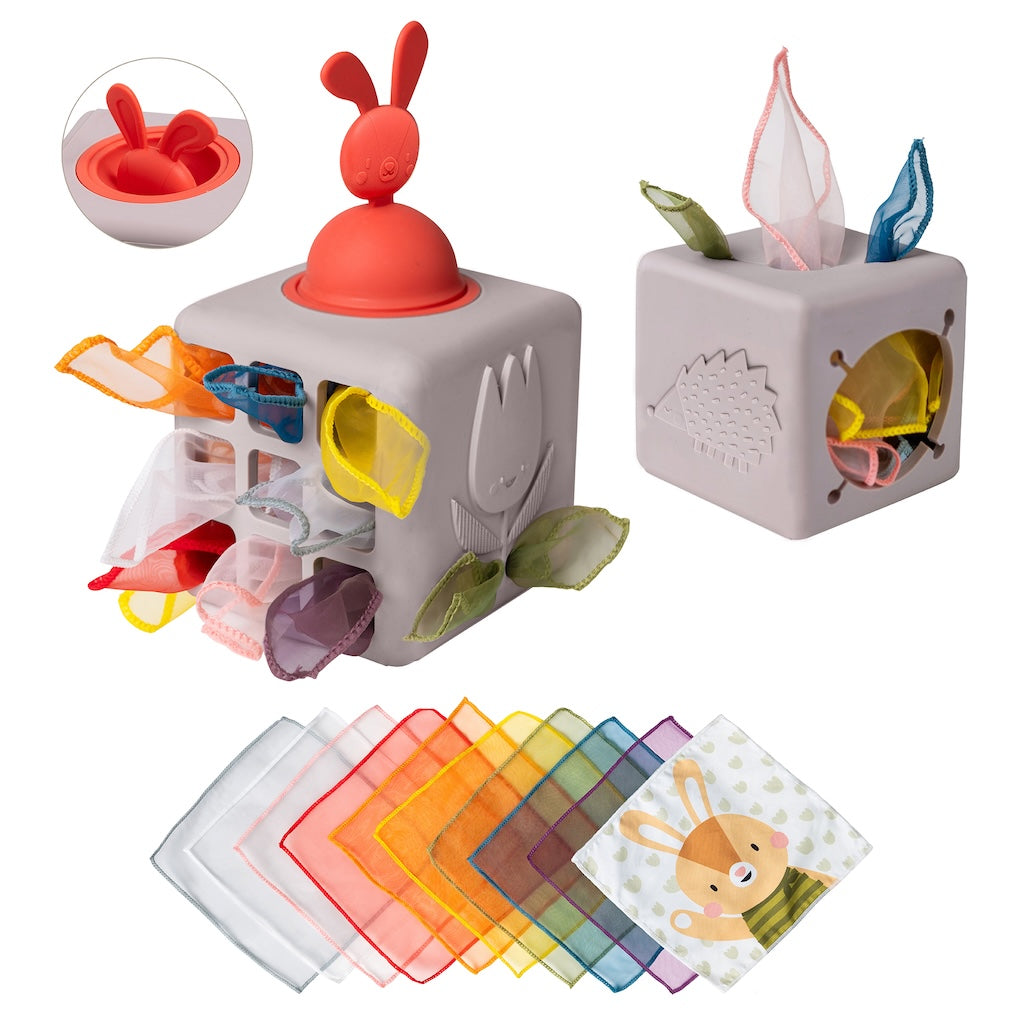 Taf Toys Pop Up Tissue Box