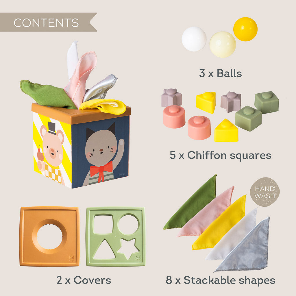 Taf Toys Play & Discover Cube