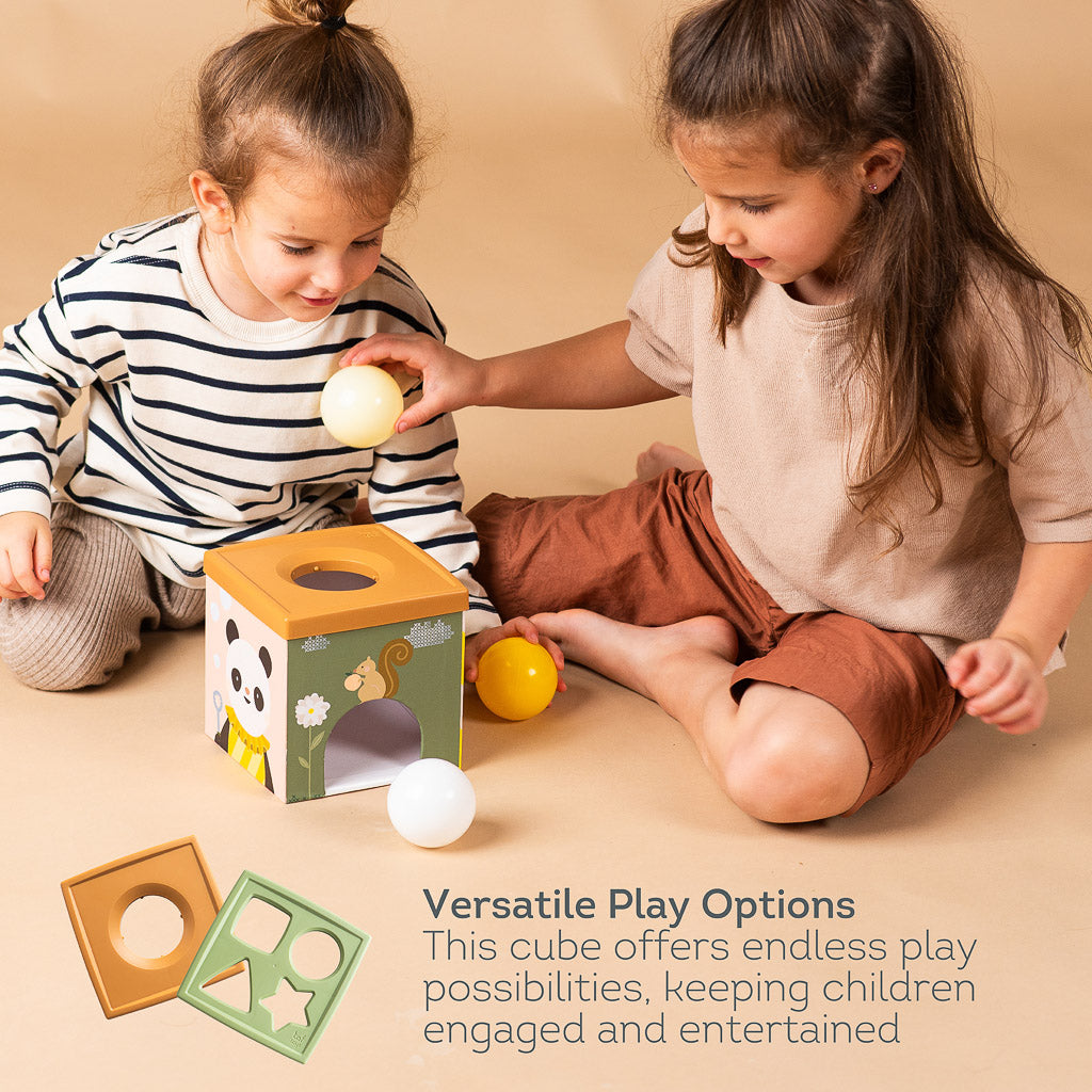 Taf Toys Play & Discover Cube