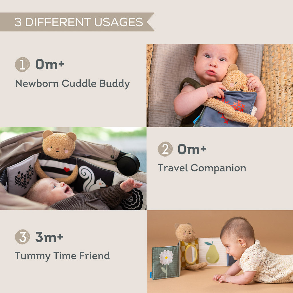 Taf Toys Snuggle Bear book