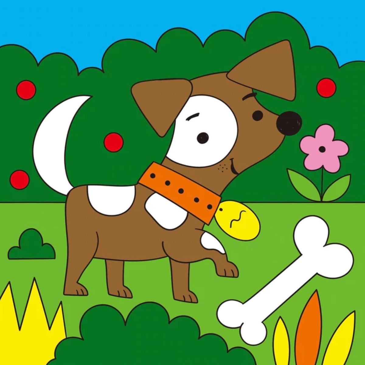 Galt Colour By Numbers