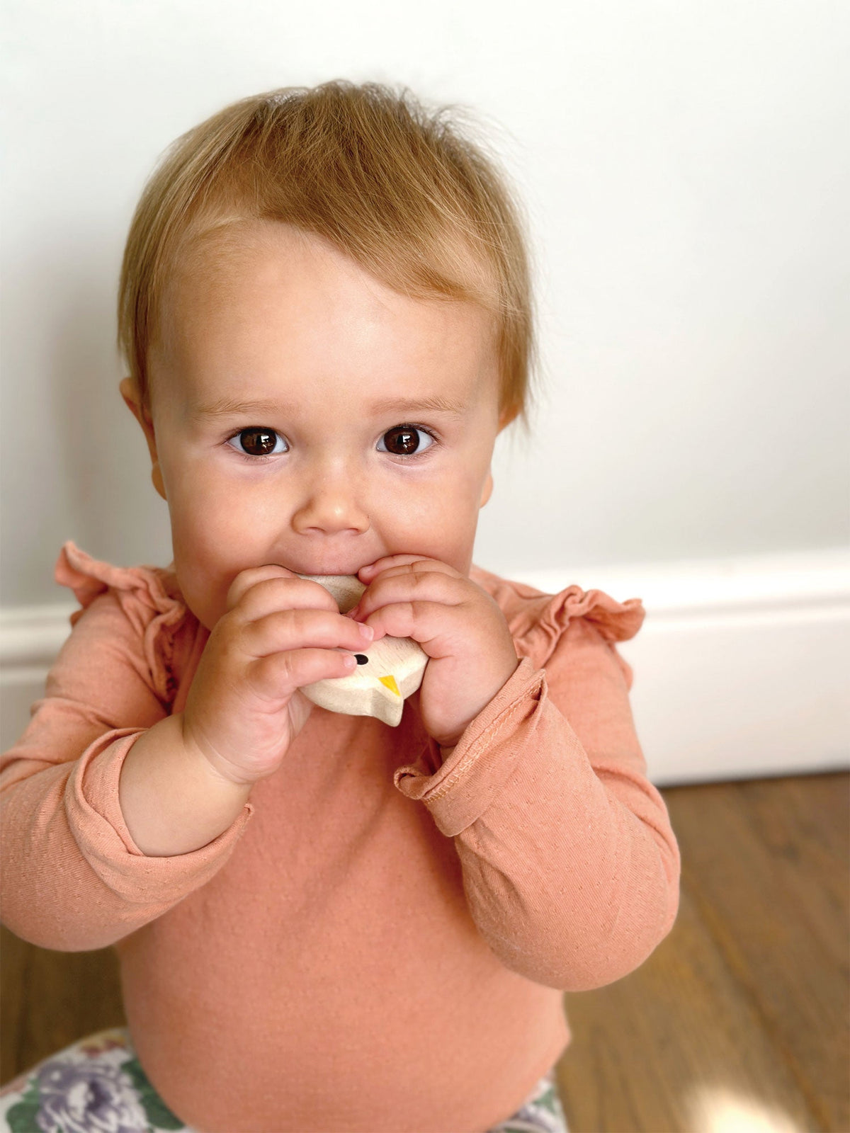 Mentari Toys Bird &amp; Kitten Teethers
