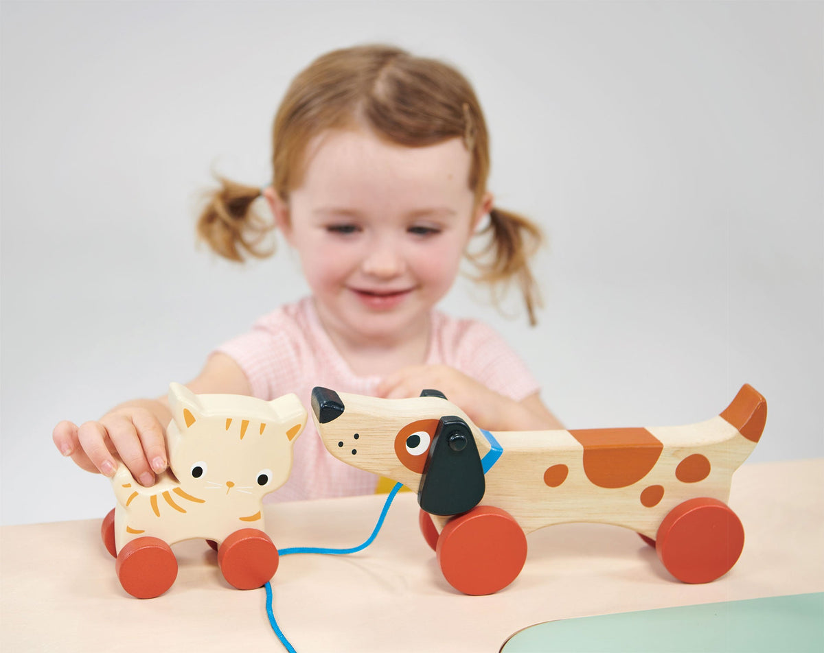 Mentari Toys Puppy On Wheels