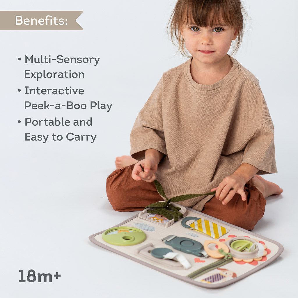 Taf Toys Snap n Learn Board