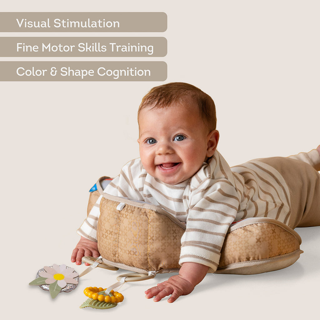 Taf Toys Bear Tummy Time Pillow