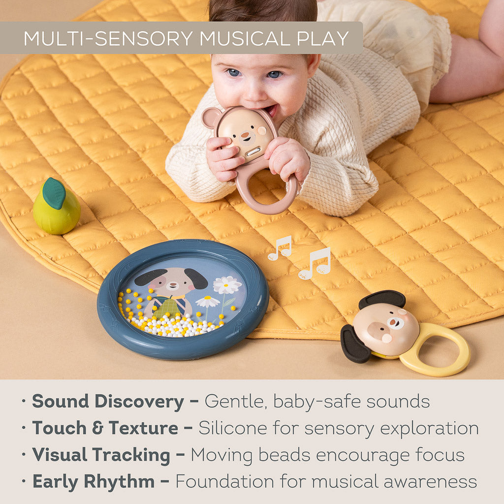 Taf Toys Baby Musical Discovery Kit