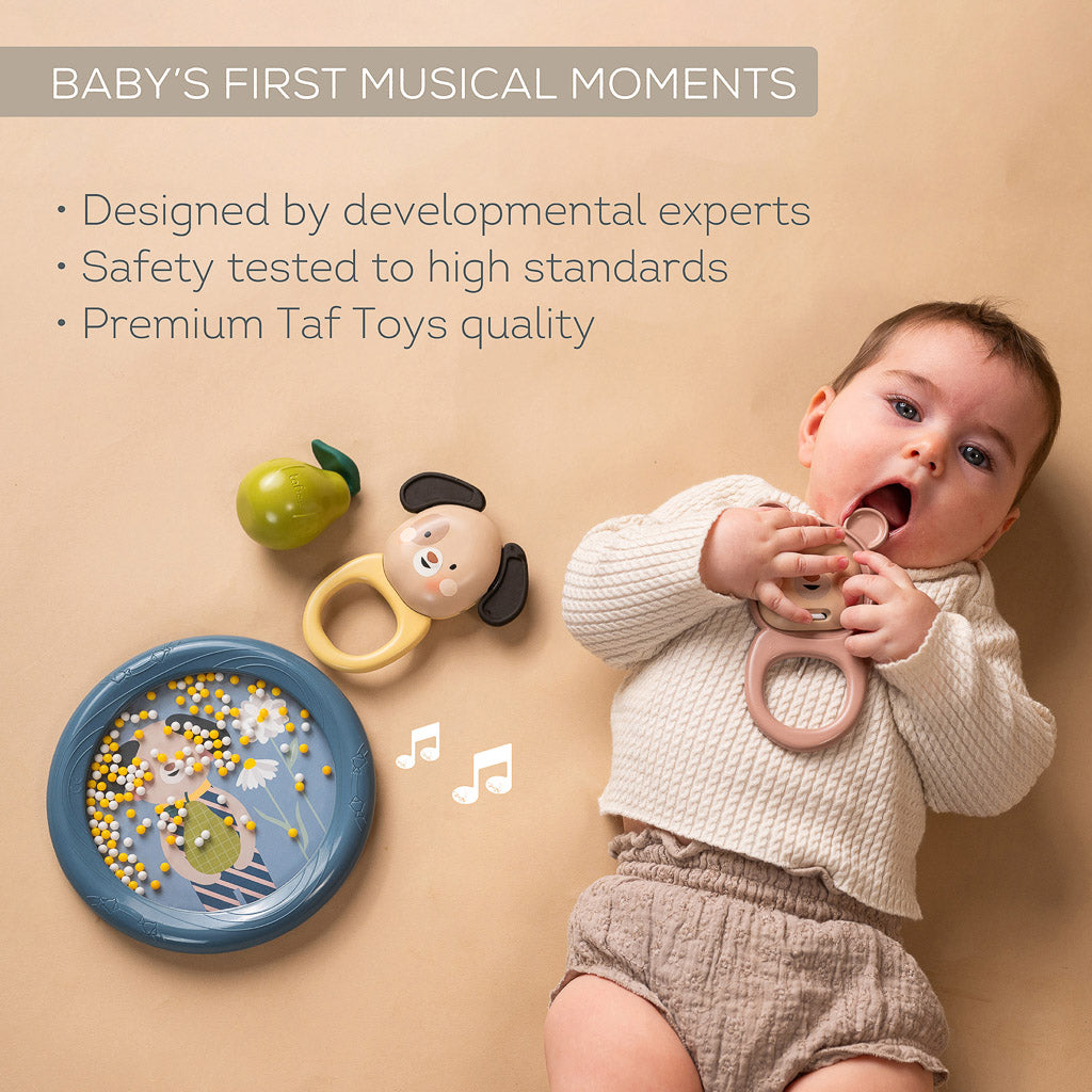 Taf Toys Baby Musical Discovery Kit
