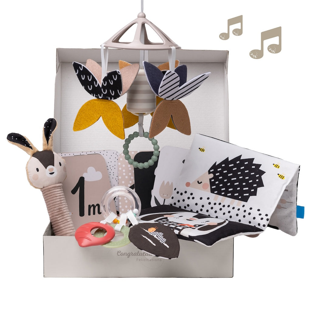 Taf Toys Newborn Black &amp; White Kit