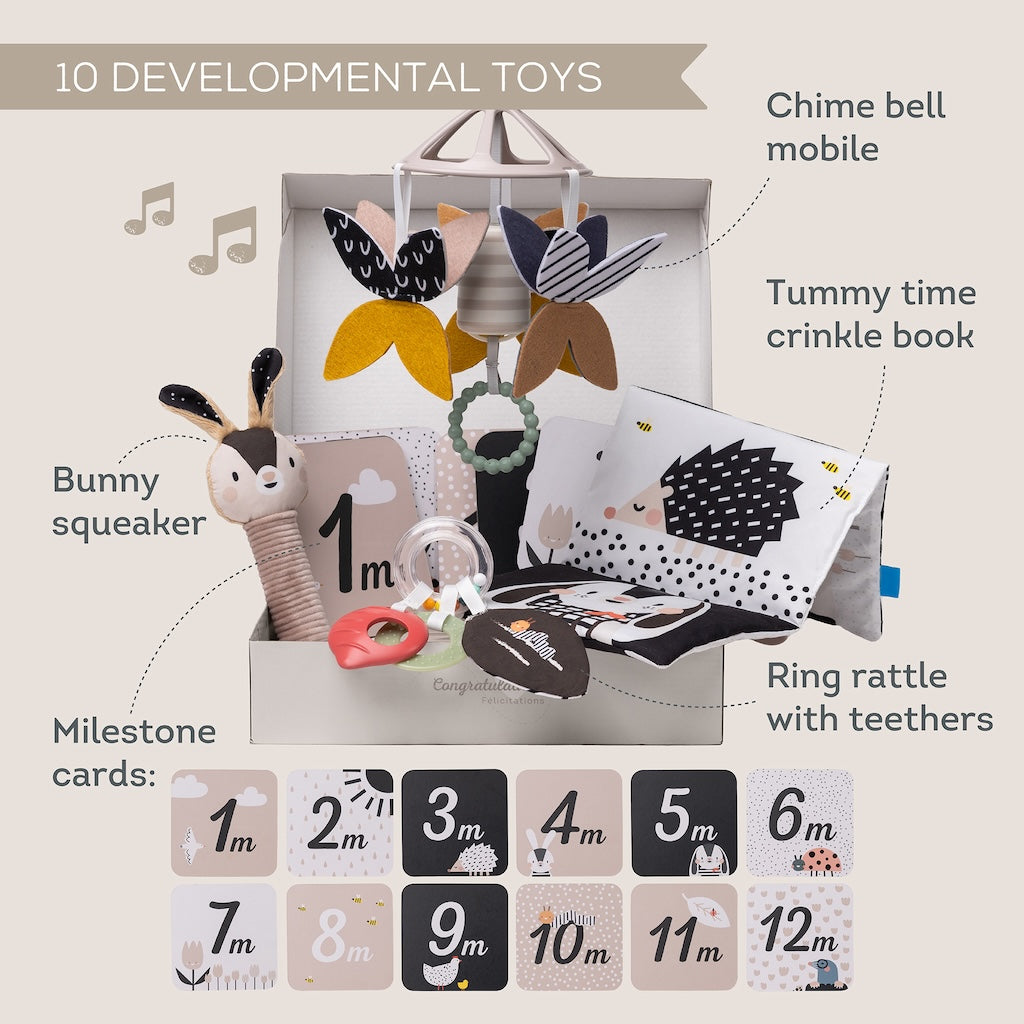 Taf Toys Newborn Black & White Kit