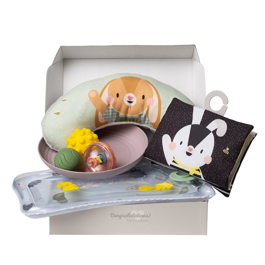 Taf Toys Tummy Time Essentials kit