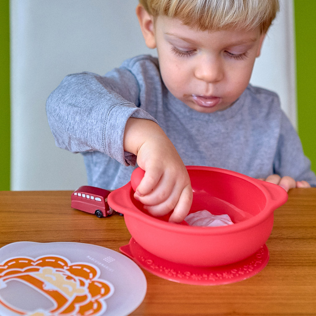 Marcus & Marcus Suction Bowl with Lid - Marcus