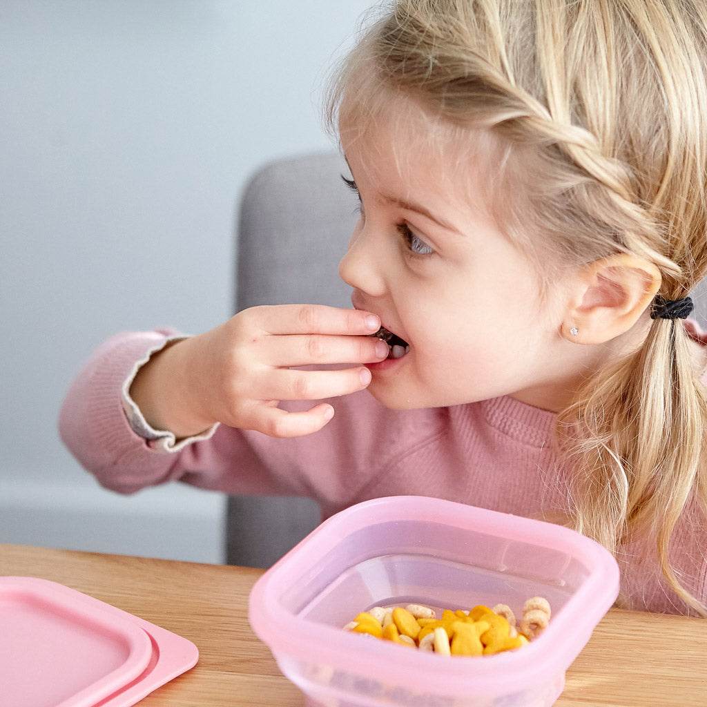 Marcus &amp; Marcus Collapsible Snack Container - Pokey
