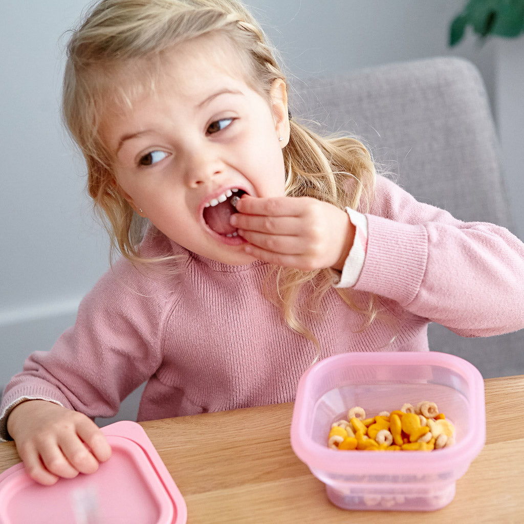 Marcus &amp; Marcus Collapsible Snack Container - Pokey