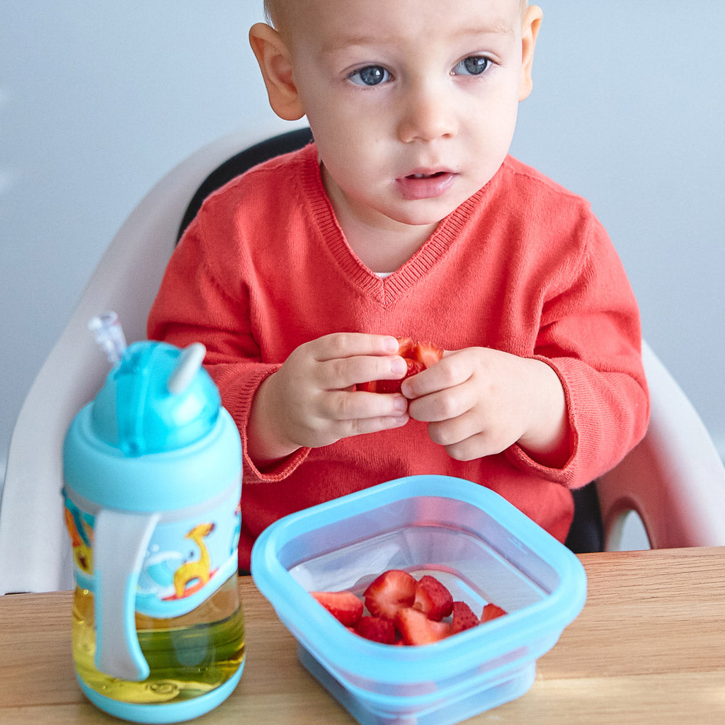 Marcus & Marcus Collapsible Snack Container - Lucas