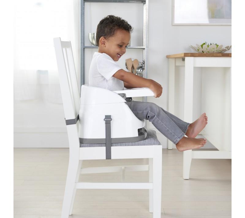 INGENUITY™ Baby Base 2-In-1 - Ultramarine_2