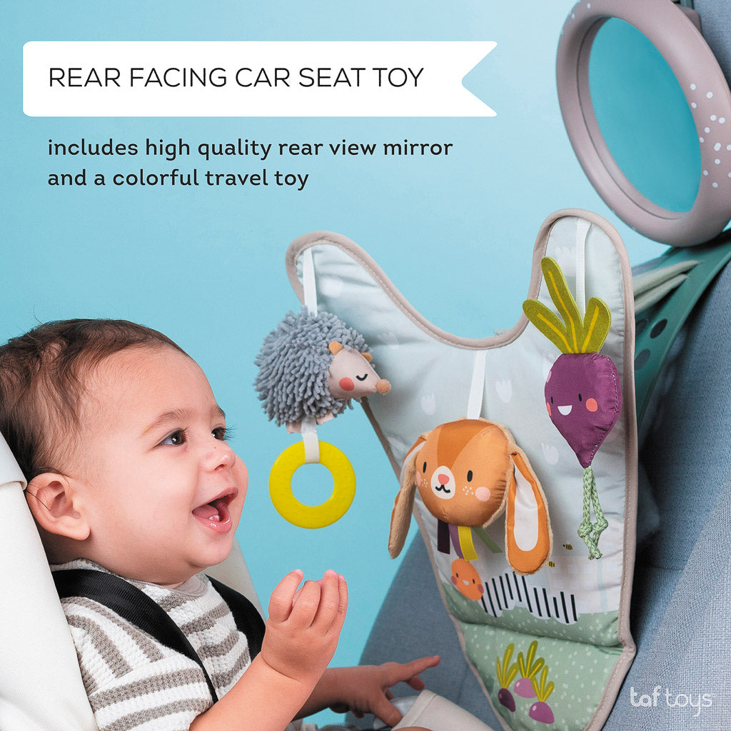 Taf Toys Urban Garden In Car Activity Center