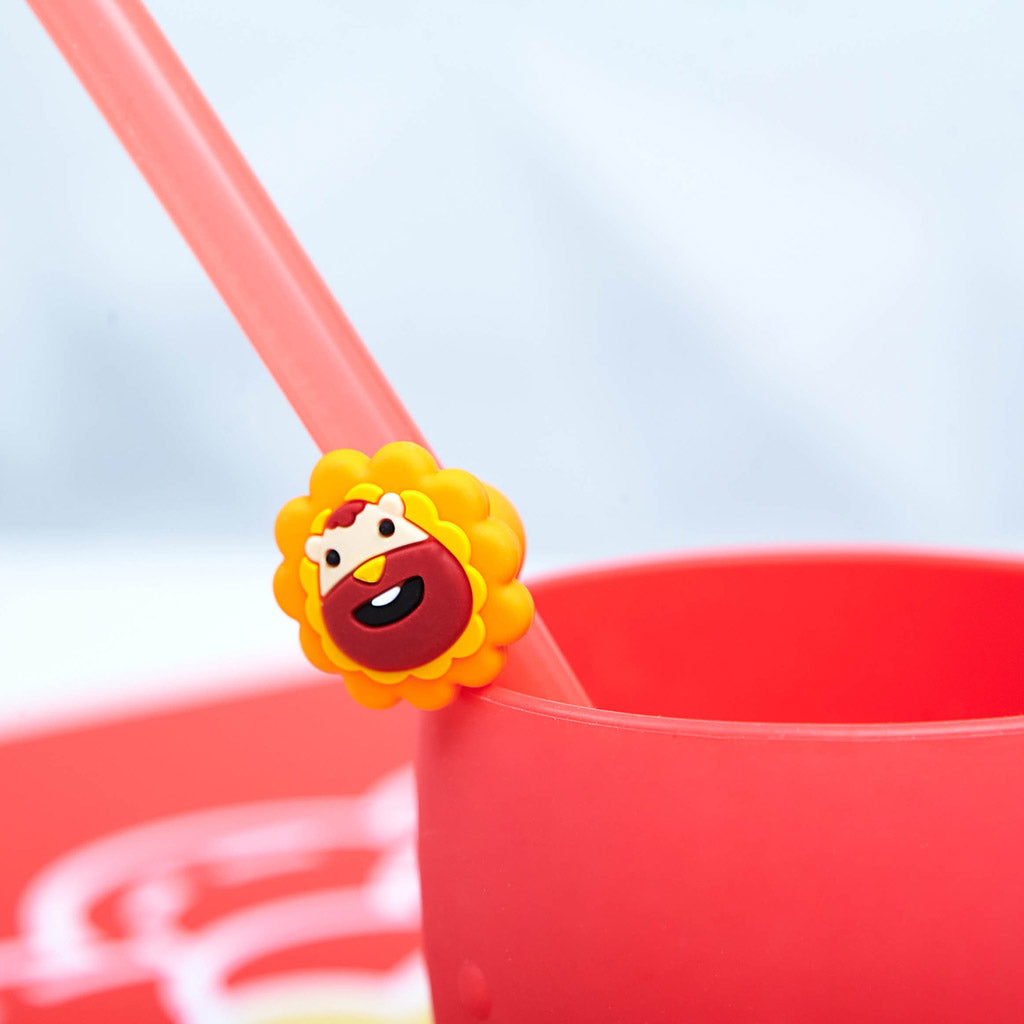 Marcus &amp; Marcus Reusable Straws Family Set
