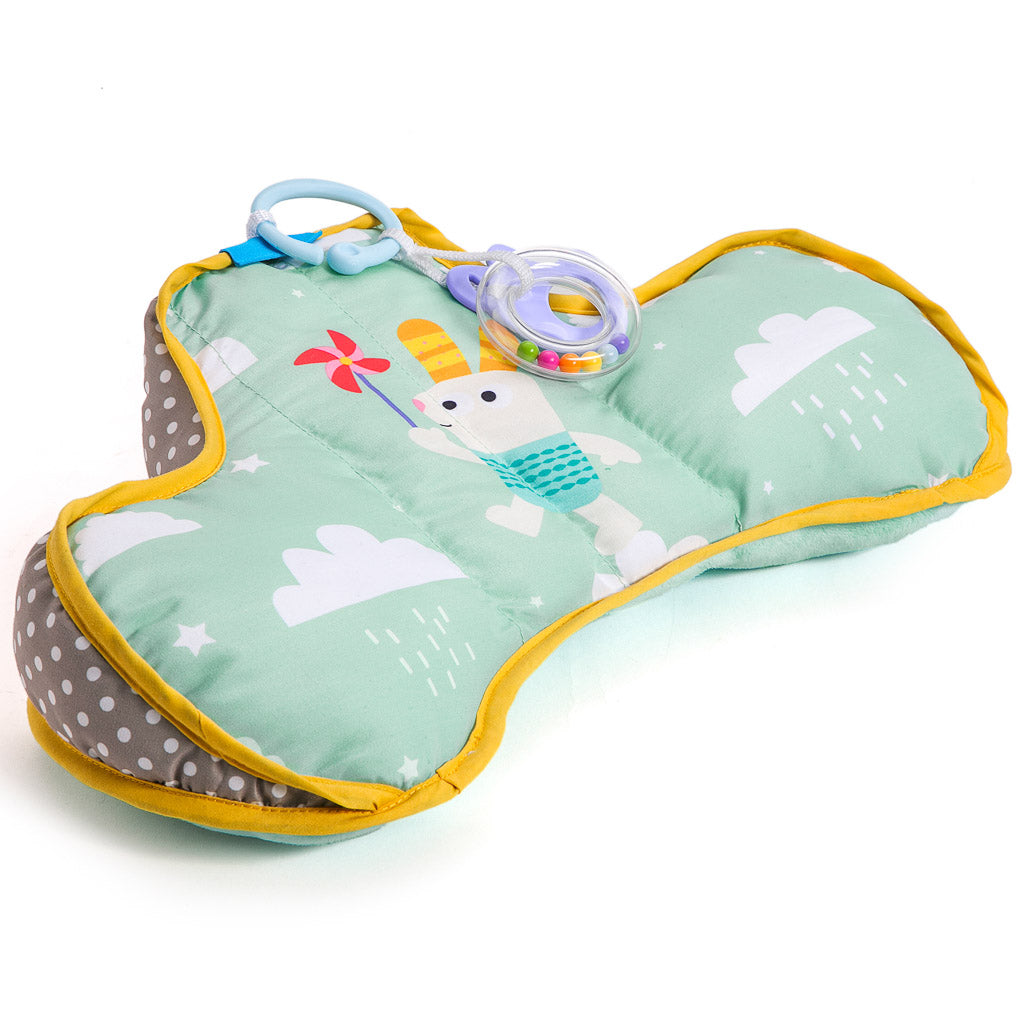 Taf Toys Developmental Pillow