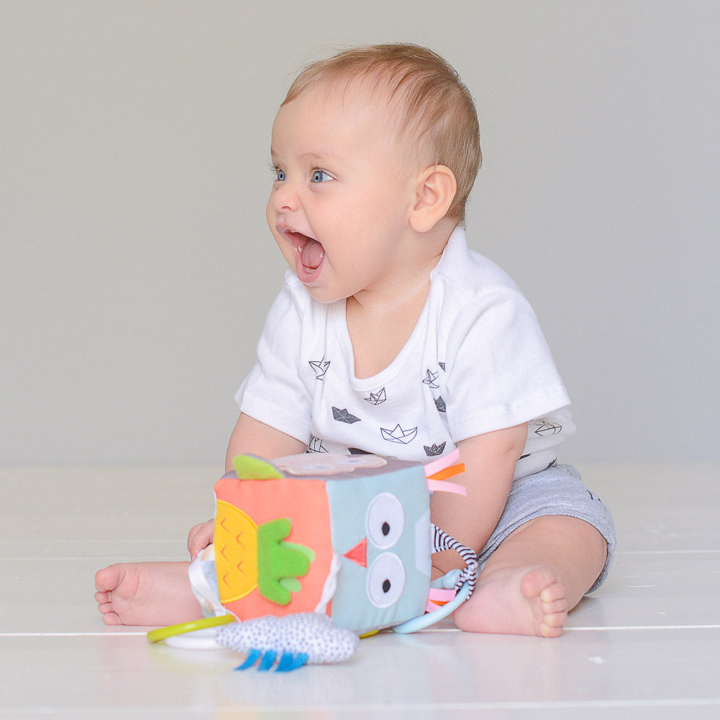 Taf Toys Developmental Cube