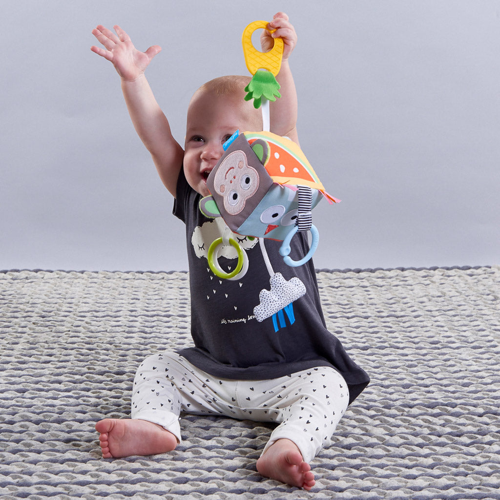 Taf Toys Developmental Cube