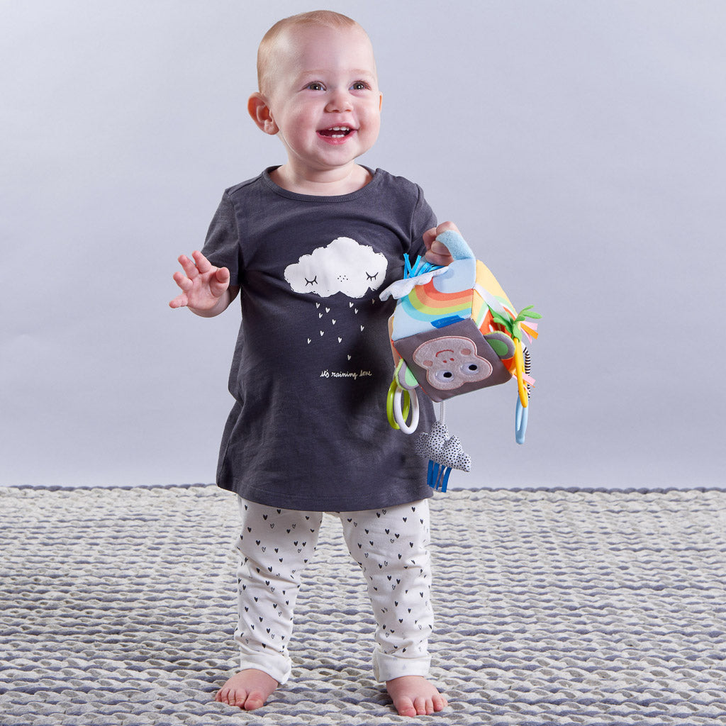 Taf Toys Developmental Cube