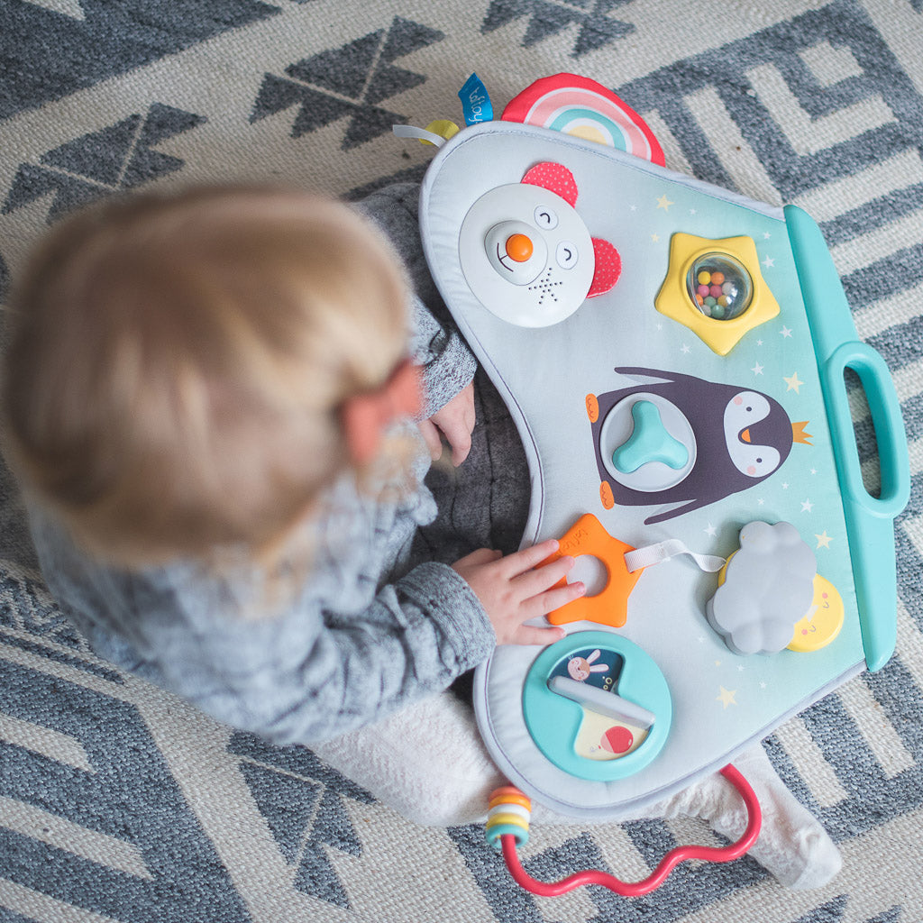 Taf Toys Laptoy Activity Center