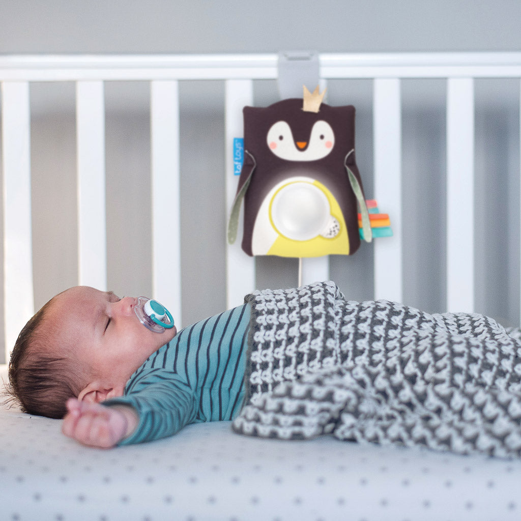 Taf Toys Prince the Penguin Baby Soother