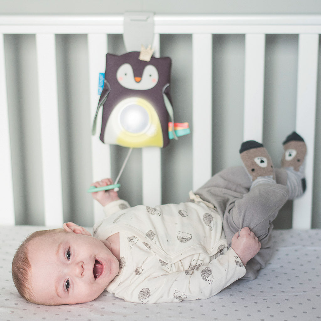 Taf Toys Prince the Penguin Baby Soother