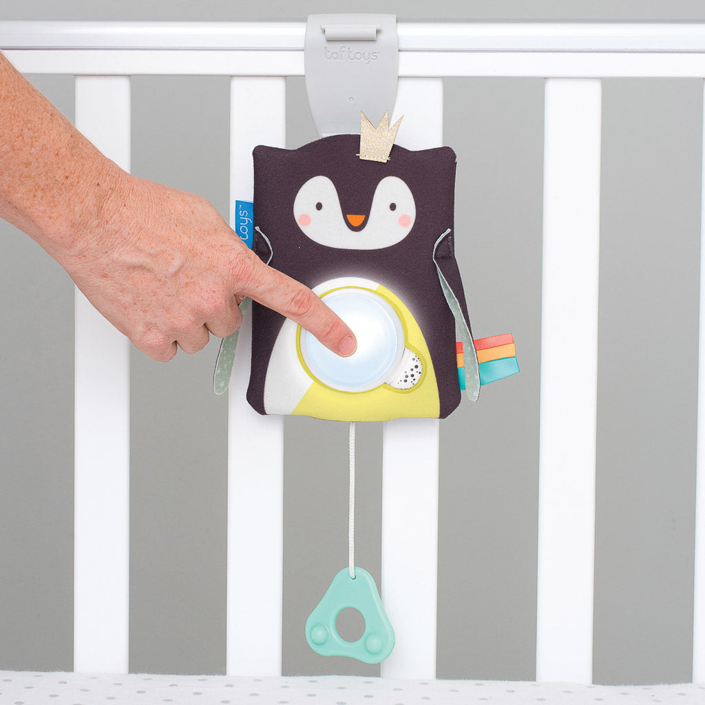Taf Toys Prince the Penguin Baby Soother