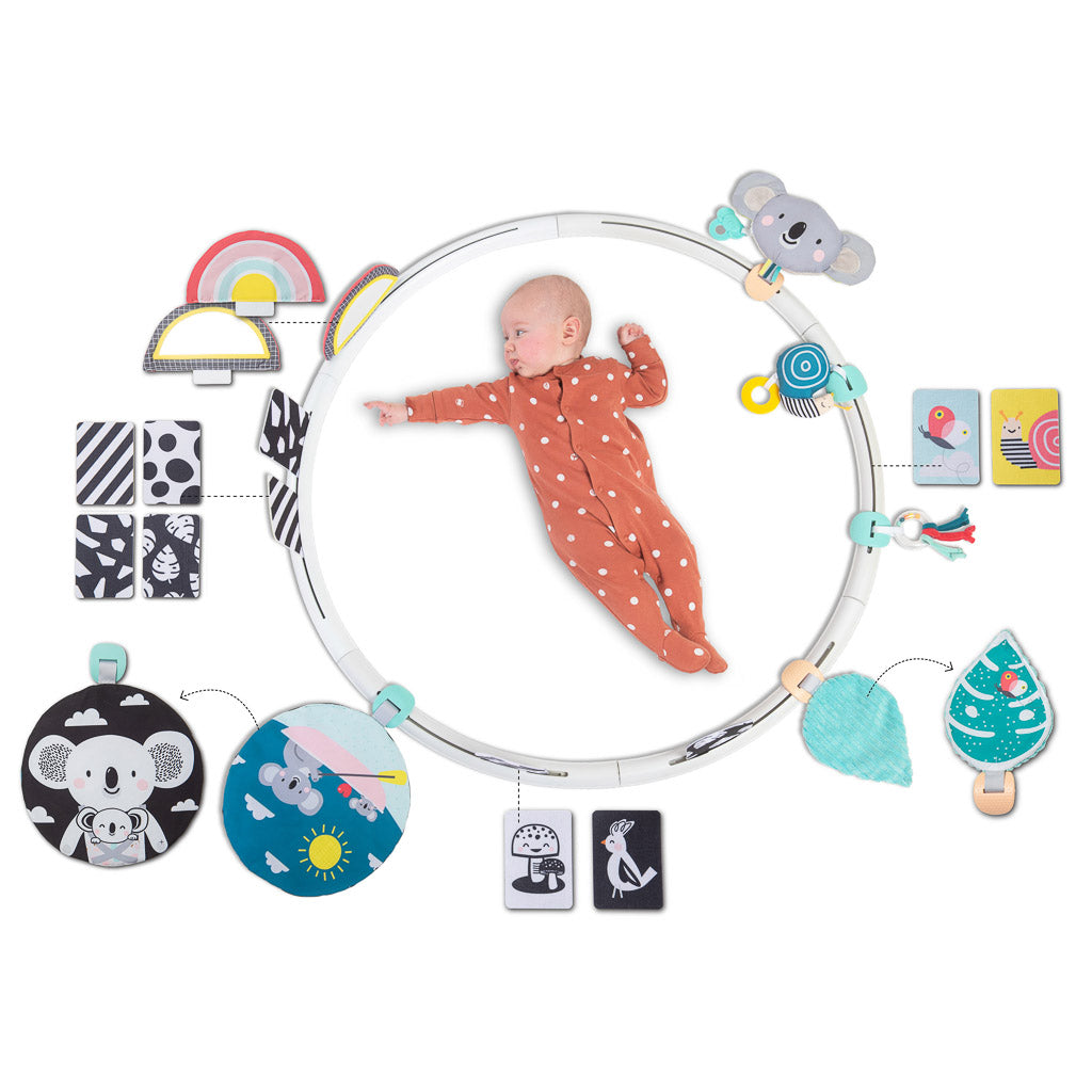 Taf Toys All Around Me Activity Hoop