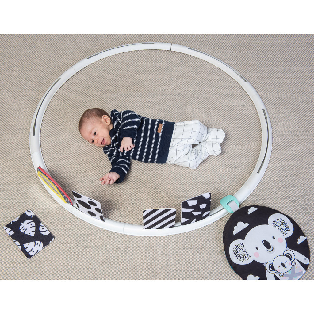 Taf Toys All Around Me Activity Hoop