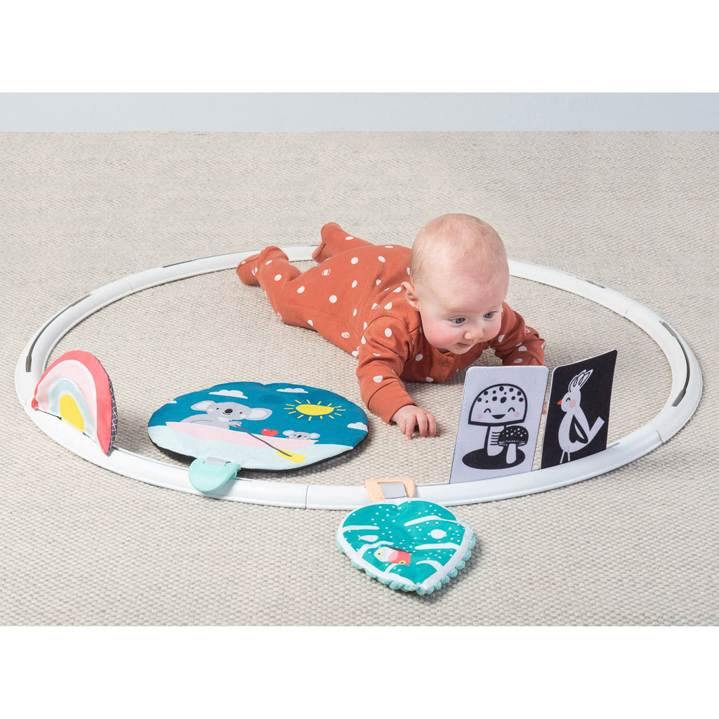 Taf Toys All Around Me Activity Hoop