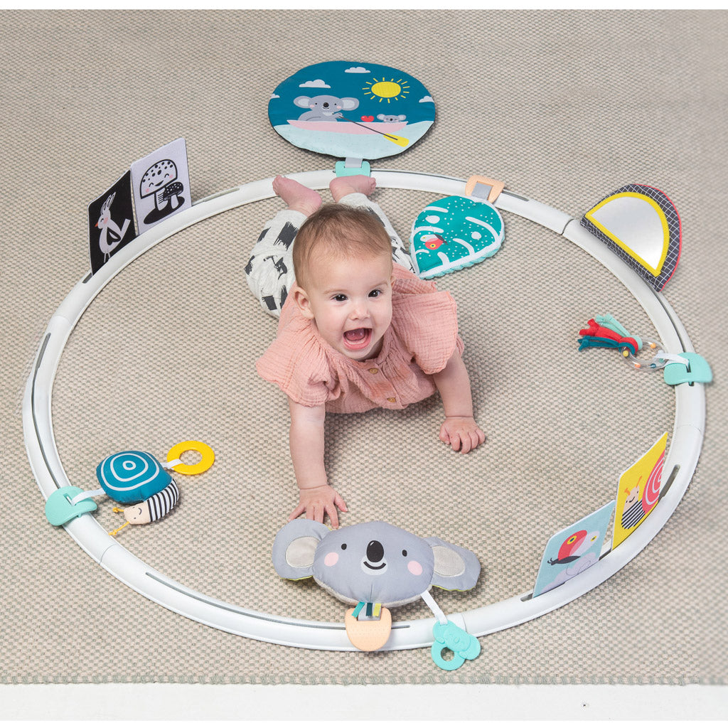 Taf Toys All Around Me Activity Hoop