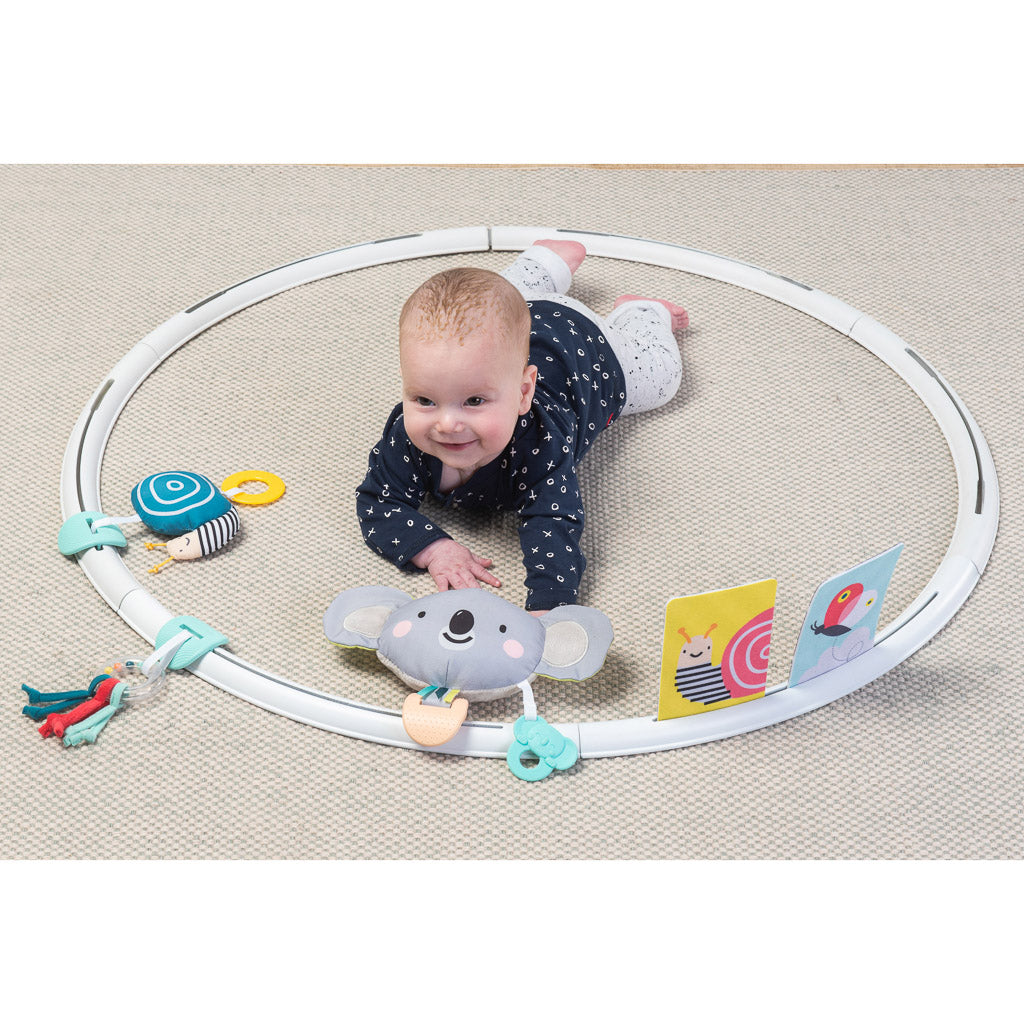 Taf Toys All Around Me Activity Hoop