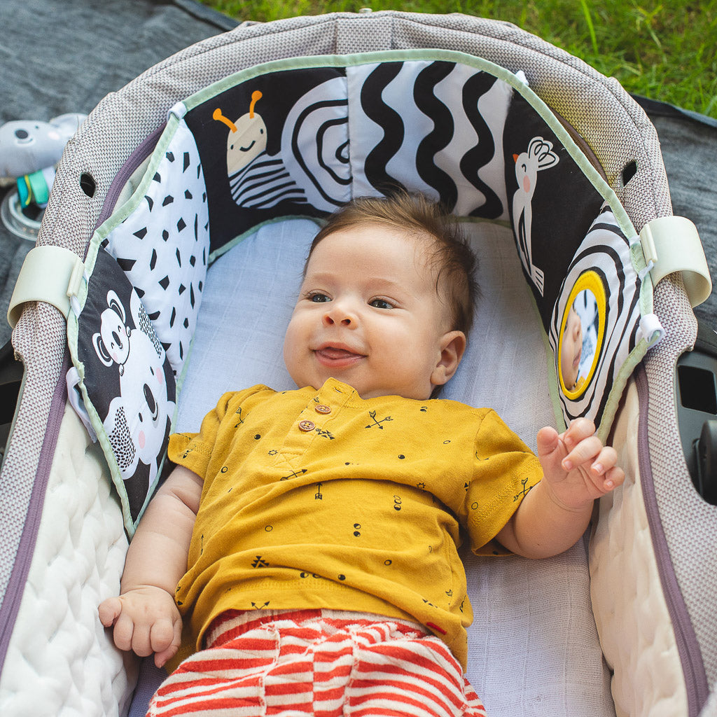 Taf Toys Koala Clip on Pram Book