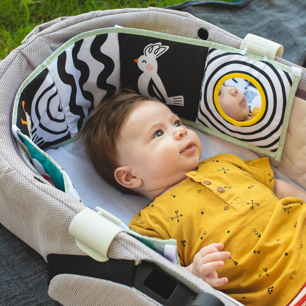 Taf Toys Koala Clip on Pram Book