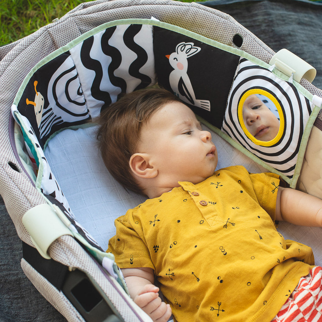 Taf Toys Koala Clip on Pram Book