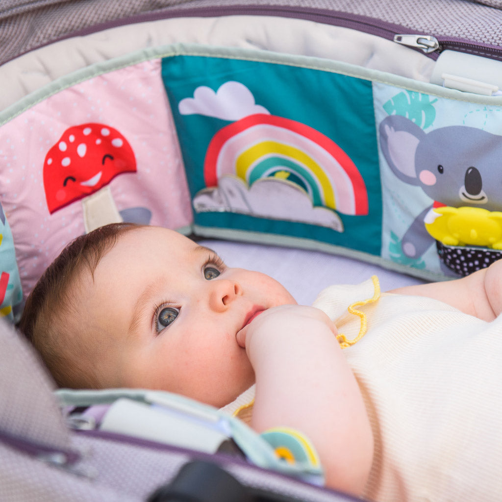 Taf Toys Koala Clip on Pram Book