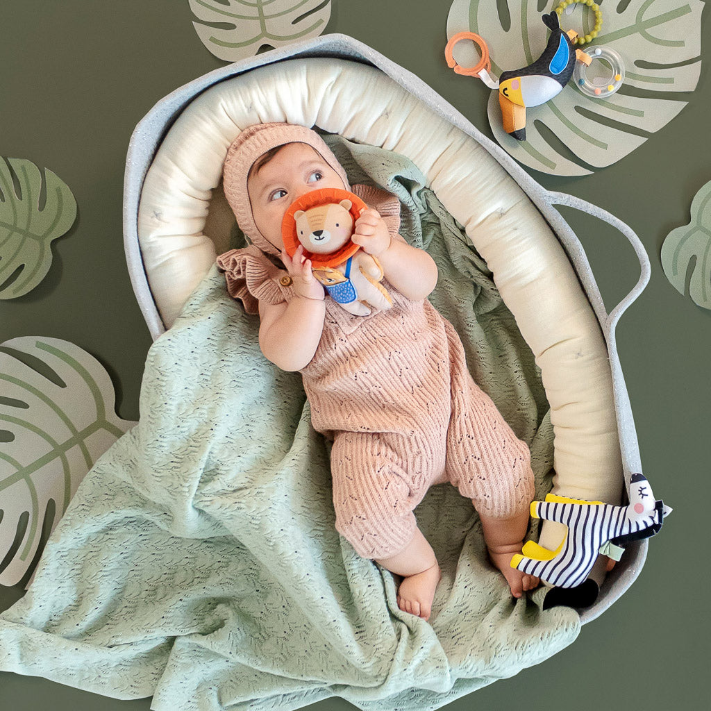 Taf Toys Harry the Lion