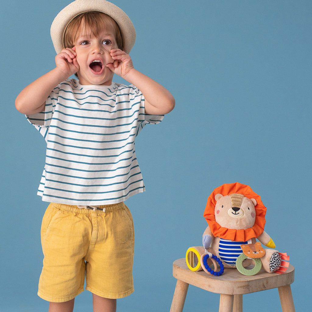 Taf Toys Harry the Lion Activity Toy