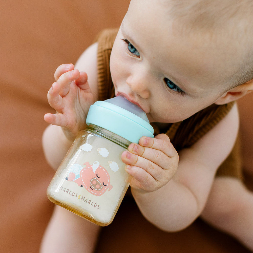 Marcus & Marcus Silicone Feeding Nipples